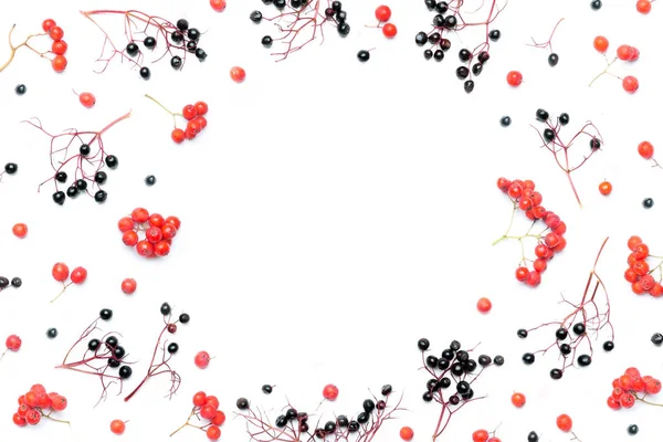 Sonbahar Çiçek Arkaplanı