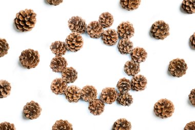 çam kozalakları, düz yatıyordu