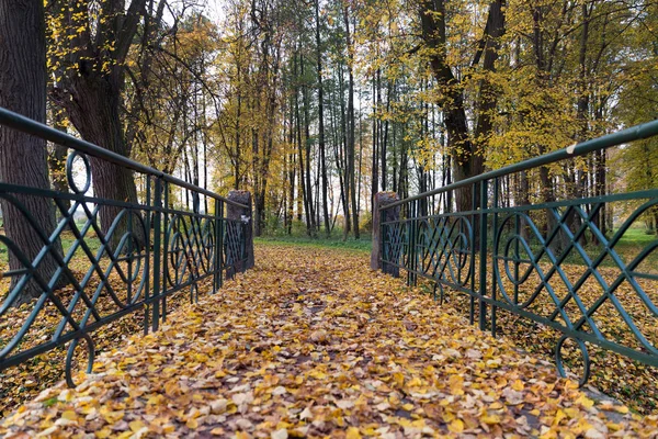Ponte com folhas de outono — Fotografia de Stock
