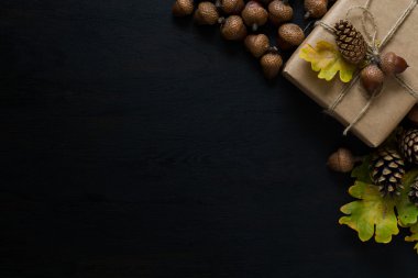 Sonbahar arka plan mevcut kutusuyla meşe yaprakları, meşe palamudu ve çam ağaçları