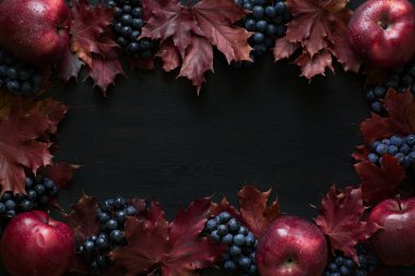 Sonbahar meyve arka plan