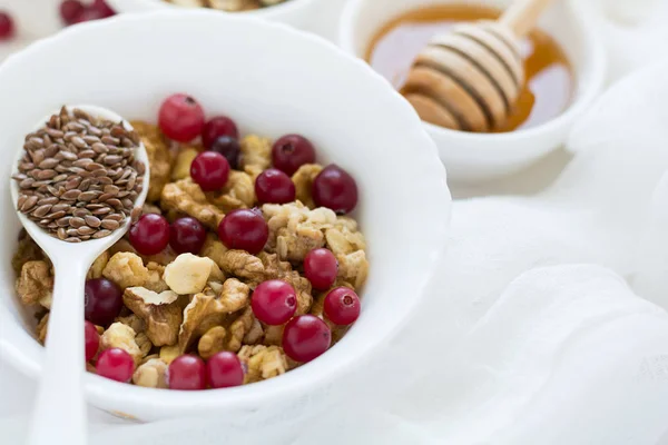 Café da manhã saudável: muesli com nozes, leite, mel e cranberries frescas — Fotografia de Stock