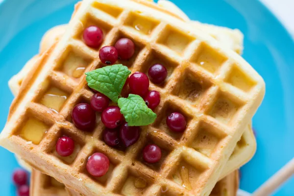 Belgian waffles with honey and cranberries — Stock Photo, Image