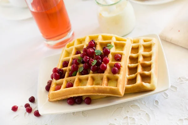 Traditional breakfast: belgian waffles with honey, cranberries and mint leaves — Stock Photo, Image