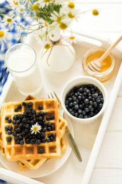 Sağlıklı Kahvaltı: yaban mersini ile Belçika waffle bal ve süt dekore edilmiş papatya çiçeği