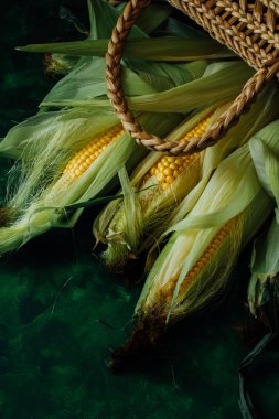 Taze mısır koçanı üzerinde yeşil ahşap masa üzerinde