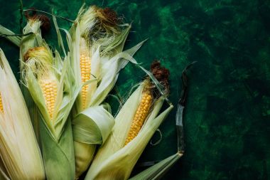 Taze mısır koçanı üzerinde yeşil ahşap masa üzerinde