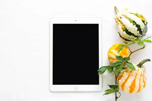 Üstten Görünüm iş tablosu üzerinde. Tablet, yabani üzüm şube ve kabak. Düz yatıyordu