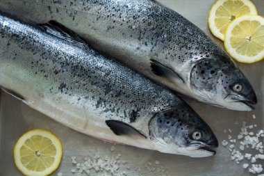 Metalik gri arka plan üzerinde iki tüketmenizi öneririz