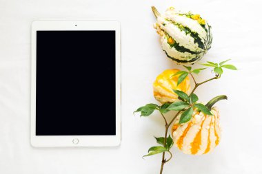 Üstten Görünüm iş tablosu üzerinde. Tablet, yabani üzüm şube ve kabak. Düz yatıyordu