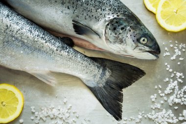 Metalik gri arka plan üzerinde iki tüketmenizi öneririz