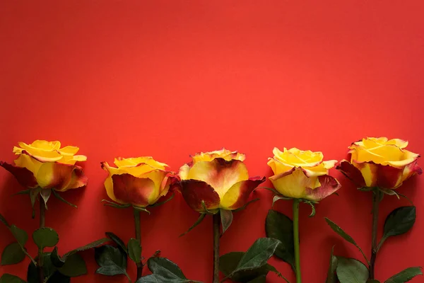 Gula Rosor För Alla Hjärtans Dag Ordnade Liggande Rött Papper — Stockfoto