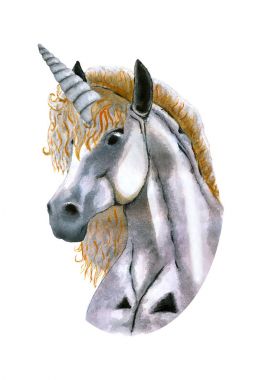 Sulu Boya tek boynuzlu at illüstrasyon. Çizilmiş atı yabani gül çiçek, yaprak ve tomurcukları el