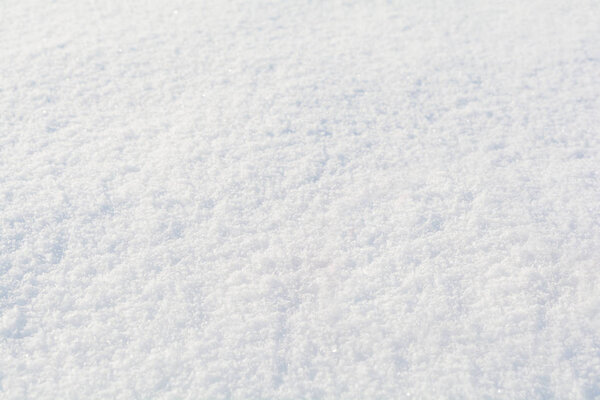 Fresh snow texture. Winter background. Christmas and New Year holidays concept. Copy space