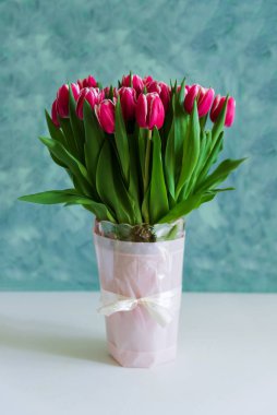Vazodaki pembe lale buketi beyaz ve turkuaz arka planda kalıyor. Sevgililer Günü ya da Anneler Günü konsepti. Ön manzara. Boşluğu kopyala