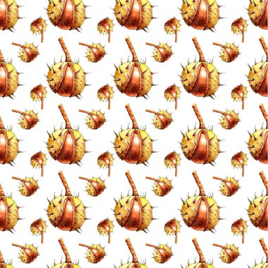 Beyaz arka planda kestaneler, tekrarlanmış, kusursuz, illüstrasyon. Beyaz arka planda tekrarlanan suluboya kestane rengi. Suluboya kusursuz desen.