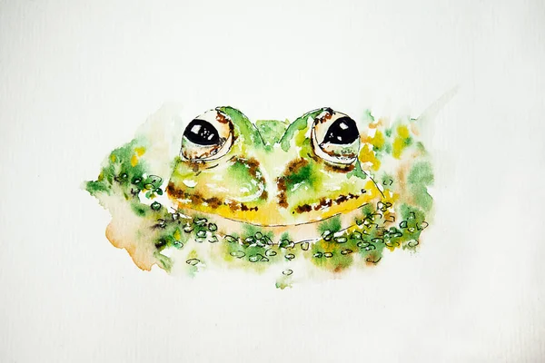 Watercolor Drawing Green Frog White Background Close Illustration Frog Handmade — 스톡 사진