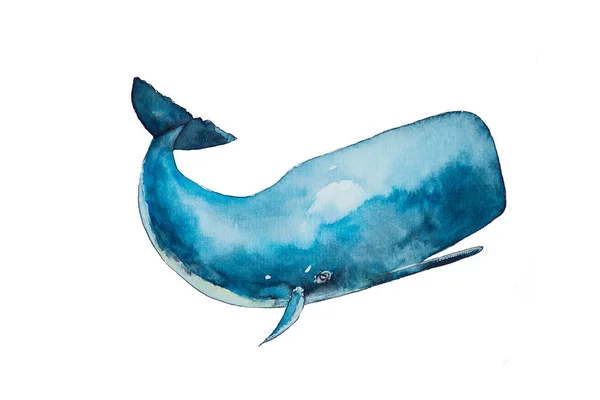 Watercolor Drawing Blue Sperm Whaleisolated White Background Handmade Illustration Blue — Stock Photo, Image