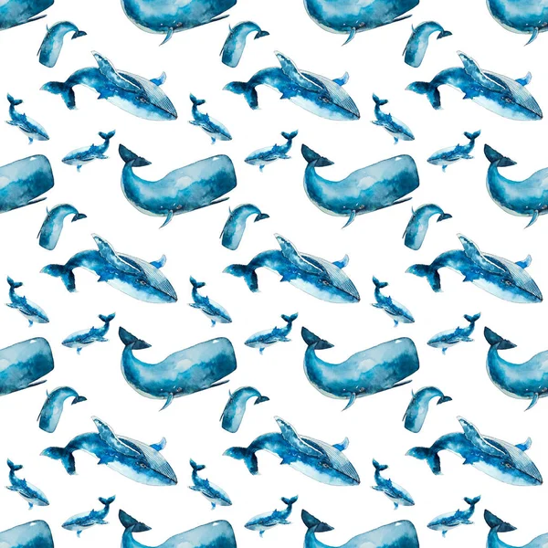 Motif Sans Couture Avec Baleine Bleue Cachalot Sur Fond Blanc — Photo