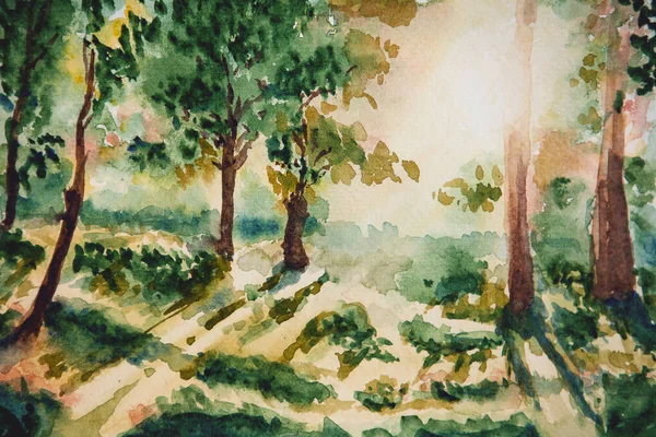 Desenho Aquarela Floresta Luz Sol Ilustração Artesanal Árvores Verdes Luz — Fotografia de Stock