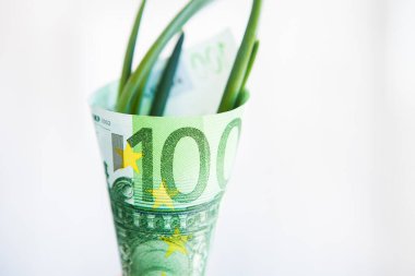 Banknotta yeşil 100 euro.