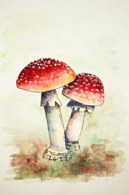 Kırmızı sinek agariklerinin suluboyası. Yeşil ve kahverengi arka planda zehirli zehirli mantarlar. El yapımı suluboya. Kızıl Sinek agarikleri çizimi.