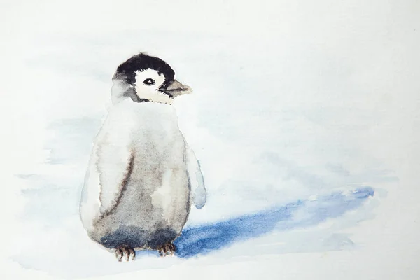 Watercolor drawing of young penguin. Illustration of the small penguin.