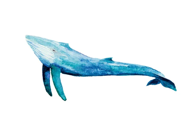 白い背景に隔離された青い鯨の水彩画 大きなクジラの手作りのIillustration 印刷可能な作品 — ストック写真