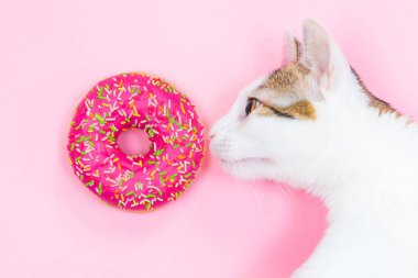 Pembe arka planda pembe çörek koklayan kedi. Kedi ve çörek.