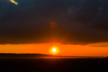 Sahada gün batımı. Geniş bir tarlası ve arka planında bir ormanı olan güzel gün batımı manzarası