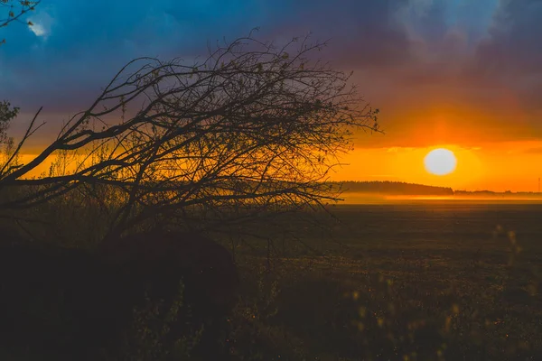 Západ Slunce Hřišti Krásná Krajina Západu Slunce Velkým Polem Lesem — Stock fotografie