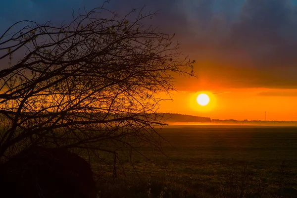 Pôr Sol Campo Bela Paisagem Pôr Sol Com Grande Campo — Fotografia de Stock