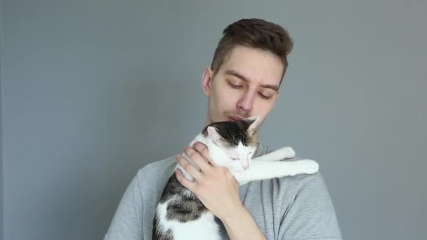 灰色の背景に白いタビー猫と抱きつく灰色のシャツの若い男 可愛いペット — ストック動画