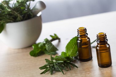 Esans biberiye ve nane aromaterapi için