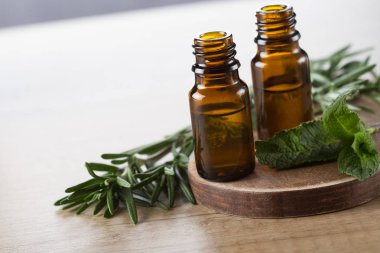 Esans biberiye ve nane aromaterapi için