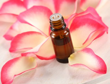 Aromaterapi, pembe gül yaprakları için temel Gül yağı