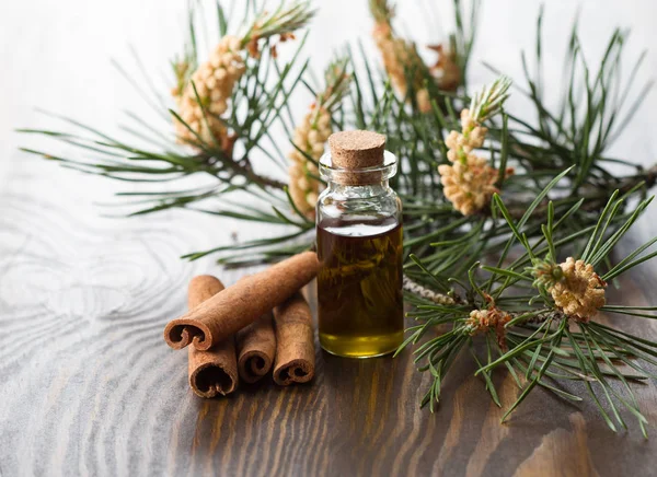 Coniferous tree essential oil and cinnamon stick — Stock Photo, Image