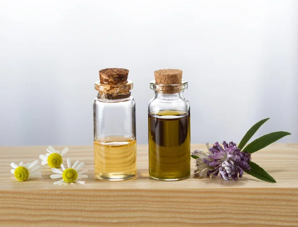 Heřmánek a jetele esenciální oleje a čerstvý heřmánkový a jetel květ — Stock fotografie