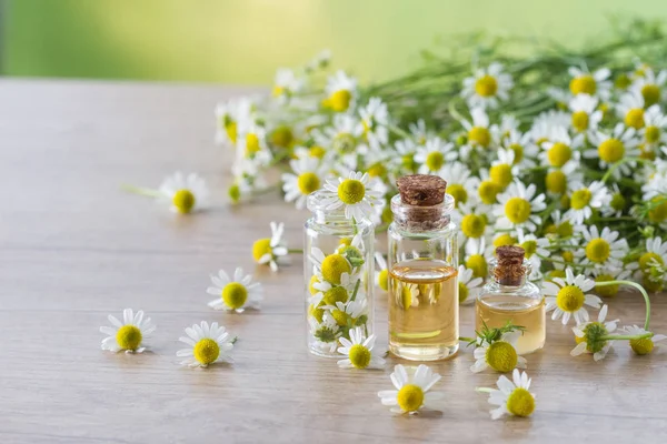 Aceite esencial de manzanilla y flores de manzanilla — Foto de Stock