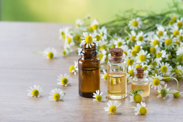 Camomile essential oil and camomile flowers — Stock Photo, Image