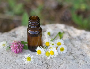 aromaterapi Uçucu yağlar