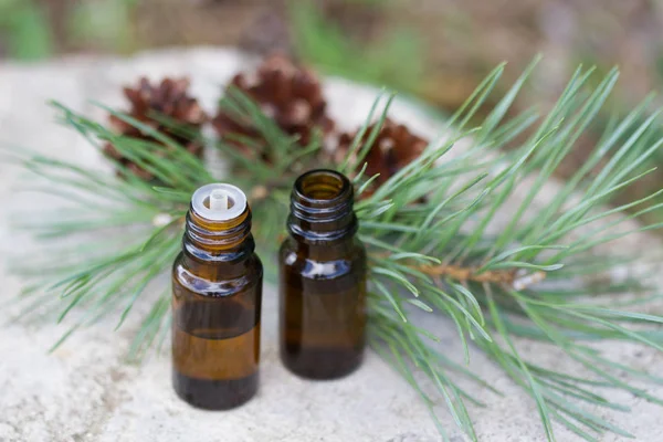 Pine essential oils for aromatherapy — Stock Photo, Image