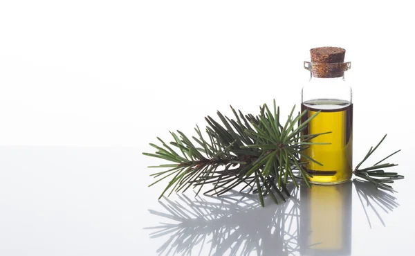 Esenciální olej z borovice na bílém pozadí — Stock fotografie