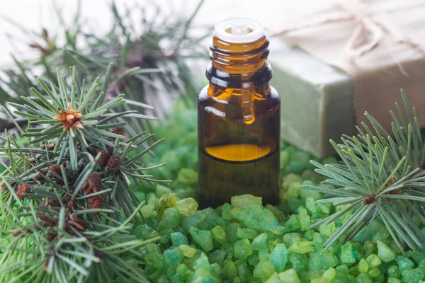 Pine etherische oliën en zeezout voor aromatherapie — Stockfoto