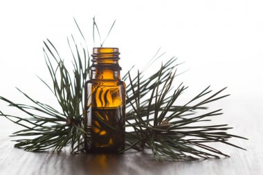 Çam esans ve çam dal