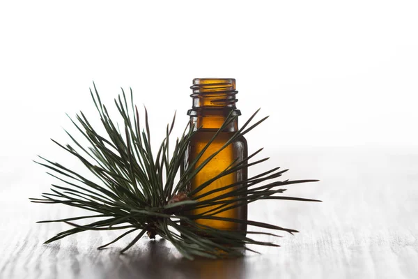 Pine etherische olie en pijnboom takjes — Stockfoto