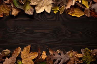 Sonbahar yaprakları çerçeve üzerinde ışık ahşap arkaplan kopyalama alanı ile