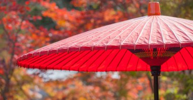 Japon kırmızı umbellra