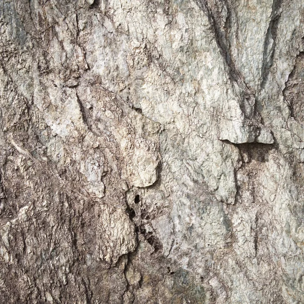 Texture of granite stone — Stock Photo, Image