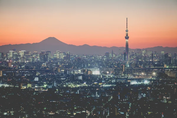 Vista sulla città di Tokyo — Foto Stock